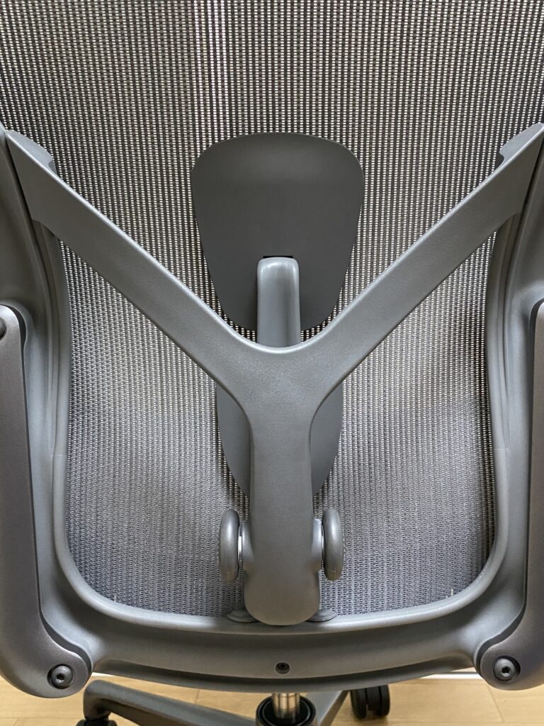 アーロンチェア（カーボン）ボスチャーフィットSL